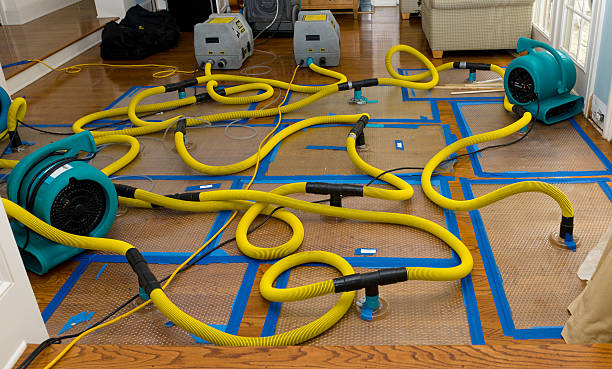 Professional Water Extraction technician working in Woodworth, LA